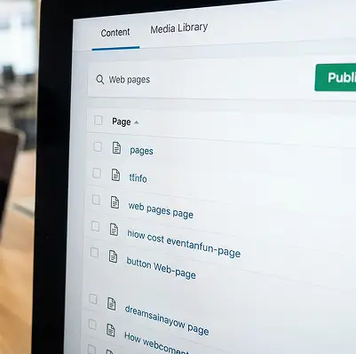 Content-managed websites (CMS)